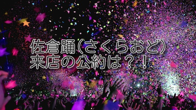 佐倉踊の公約はあるのか